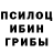 Галлюциногенные грибы Cubensis Yari GR