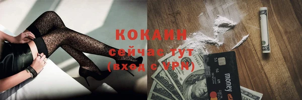 ECSTASY Покров