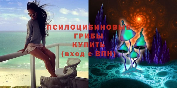 ECSTASY Покров