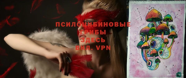 ECSTASY Покров